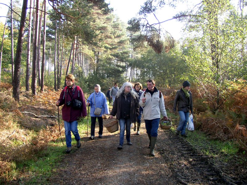 Mares au vinaigre 02